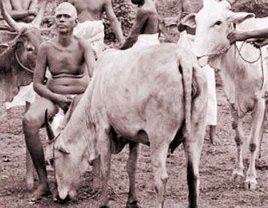 Ramana Lakshmi 10