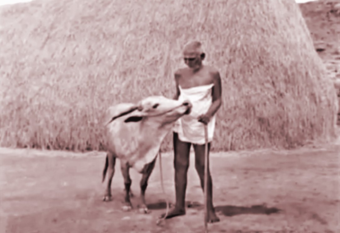 Ramana Lakshmi 11