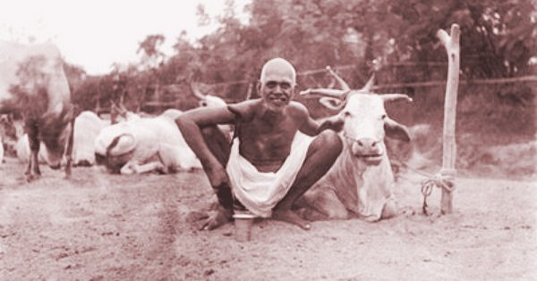 Ramana Lakshmi 13