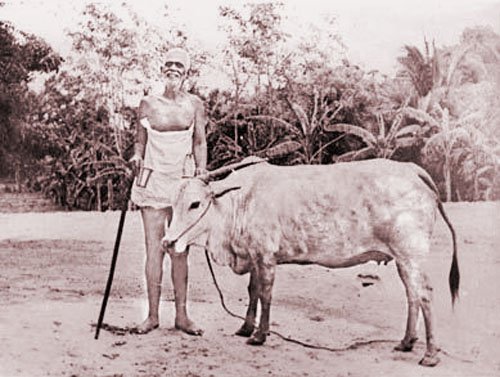 Ramana Lakshmi 5