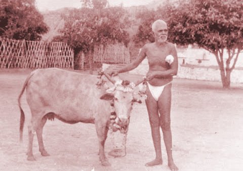 Ramana and Lakshmi