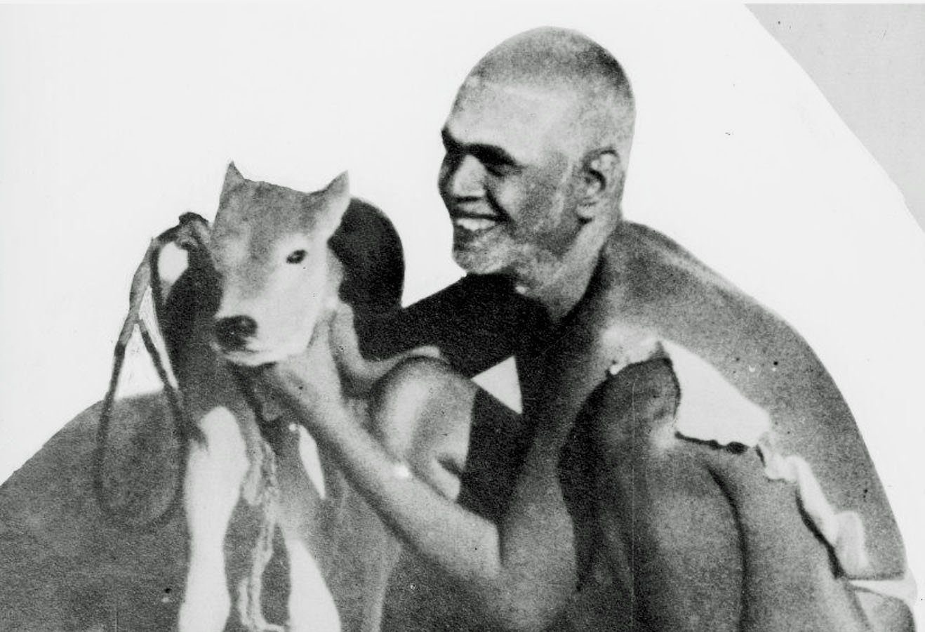 Ramana with deer