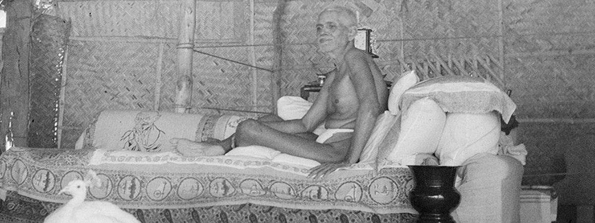 Ramana 74 1200 x 450