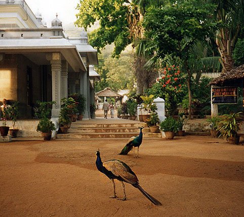 Ramanasramam 2