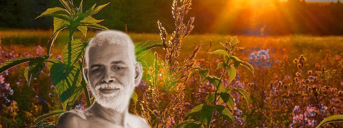 Sri Ramana Gita 1200 x 450