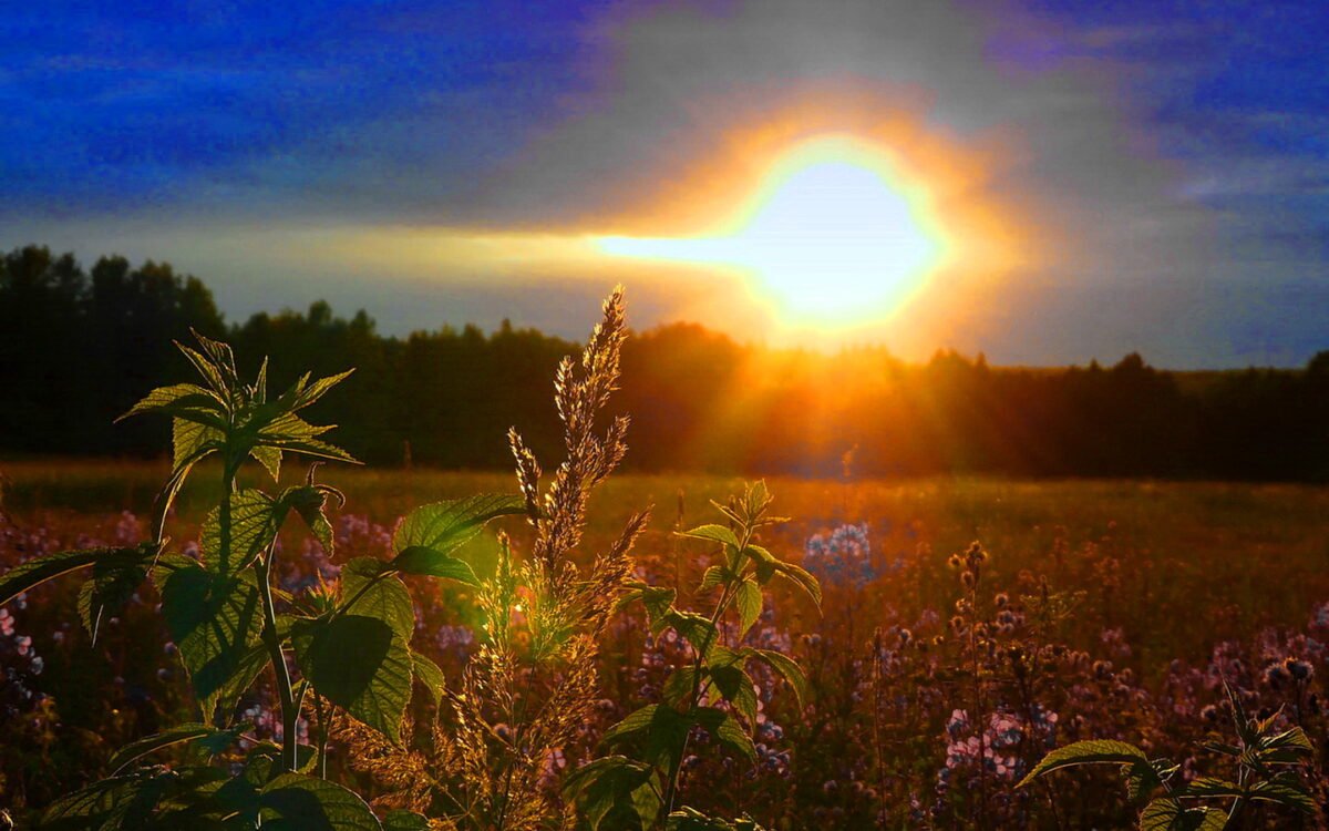 Sunrise