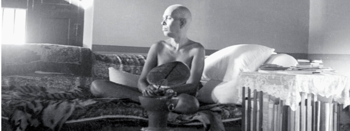 ramana-w-fan-on-couch-lg
