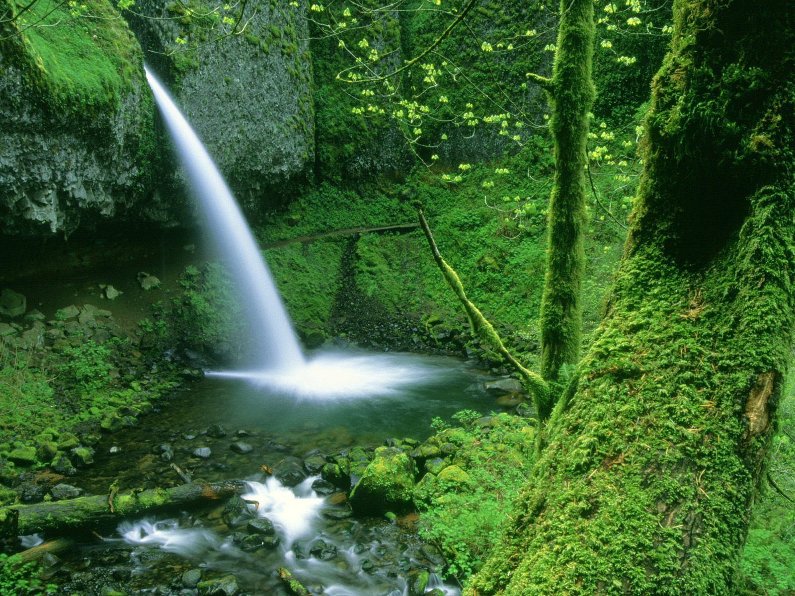 Methods for Quietening the Mind