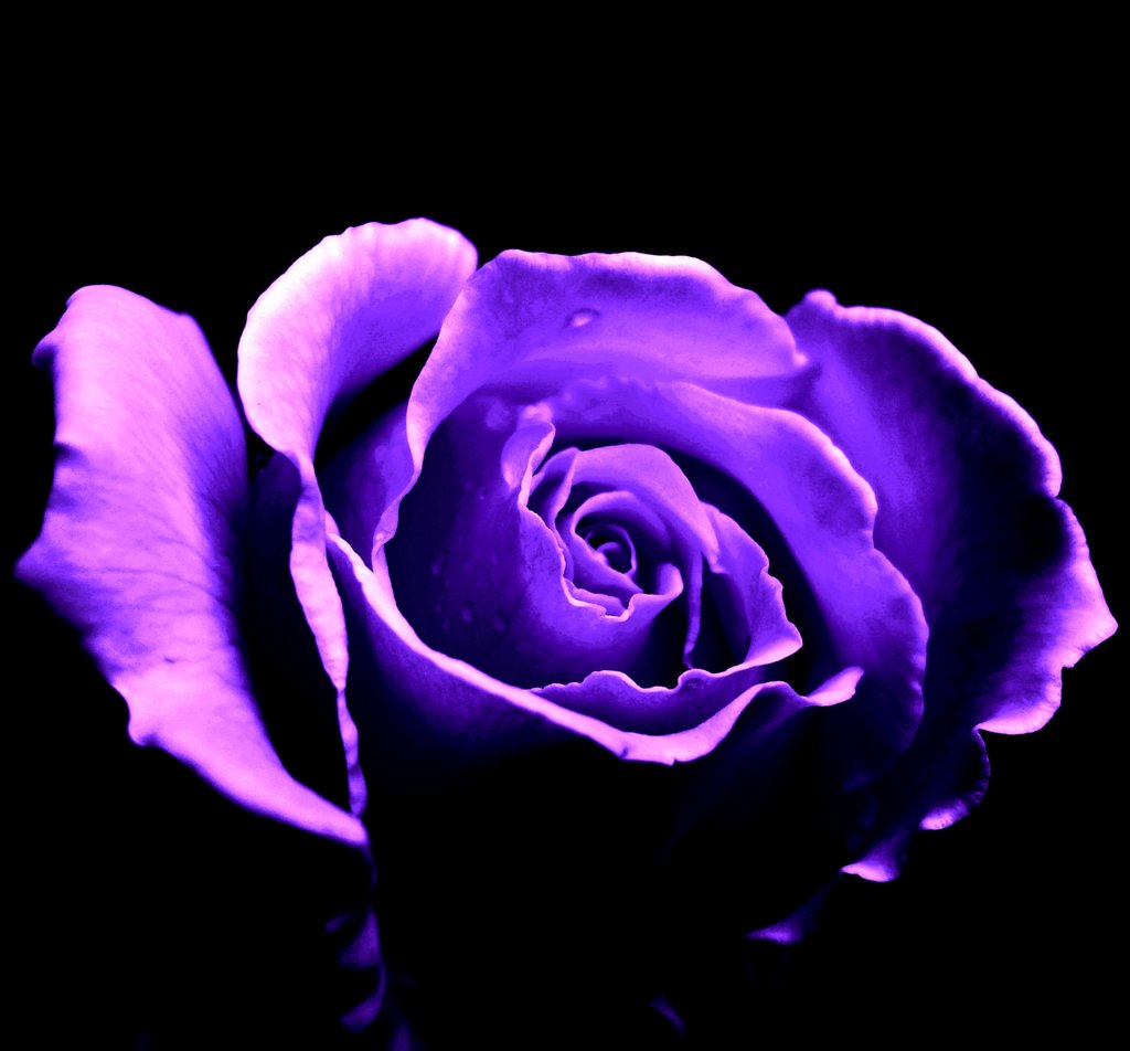 The Charm of Self-Realization