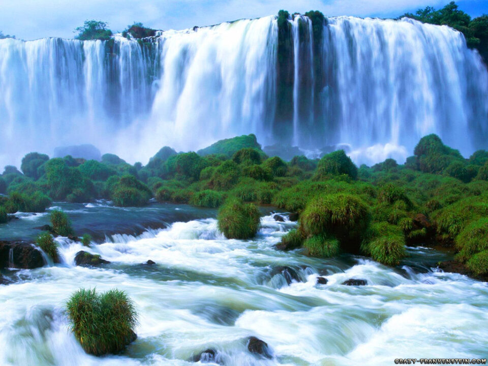 The Supreme will bear it all