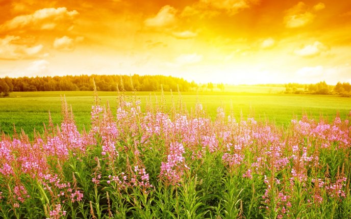 Gaining steadiness in meditation